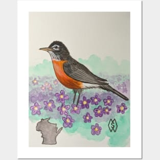 Wisconsin state bird and flower, the robin and wood violet Posters and Art